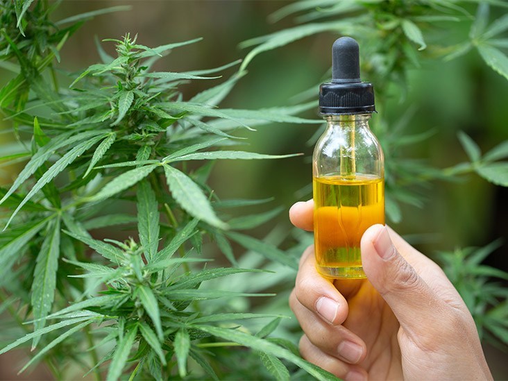 CBD Oil – Why is it expensive here in Australia?